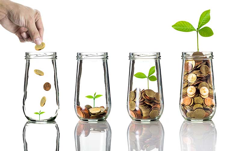 Environmental Management