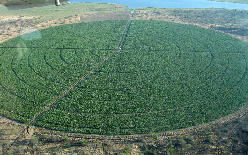 Katito Farming Enterprises Limited